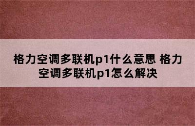 格力空调多联机p1什么意思 格力空调多联机p1怎么解决